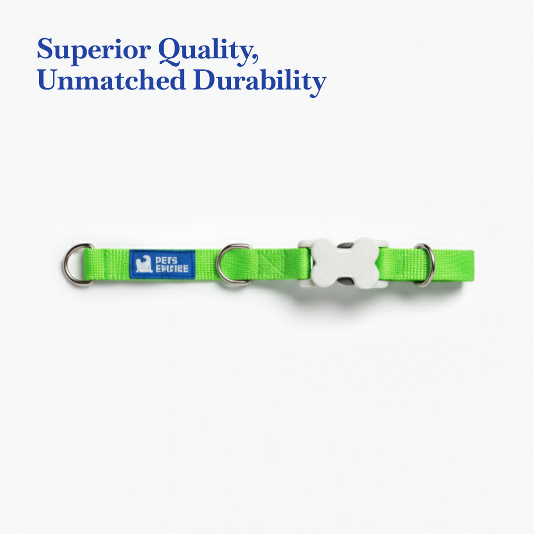 PETS EMPIRE Classic Dog Collar & Leash Set with Bow- Green