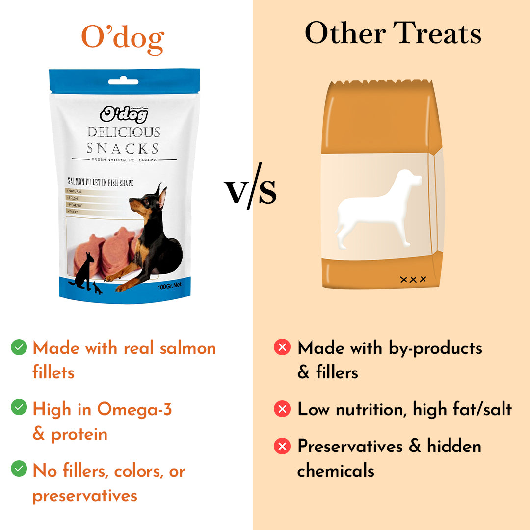 O'Dog Salmon Fillet in Fish shape - 100g