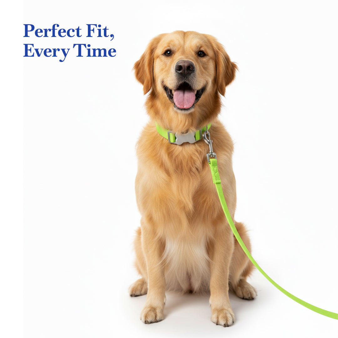 PETS EMPIRE Classic Dog Collar & Leash Set with Bow- Green