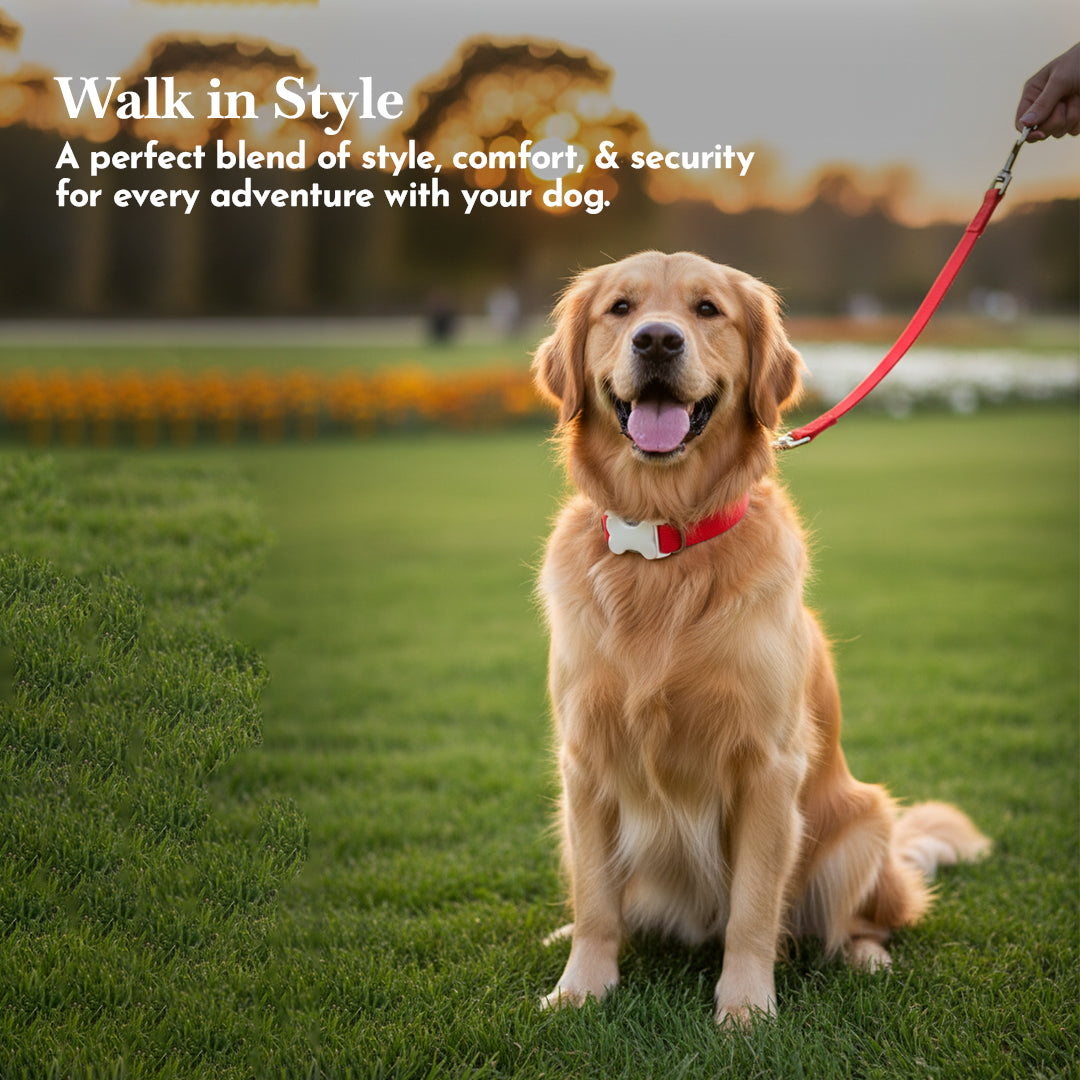 PETS EMPIRE Classic Dog Collar & Leash Set with Bow-Red