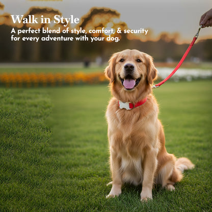 PETS EMPIRE Classic Dog Collar & Leash Set with Bow-Red