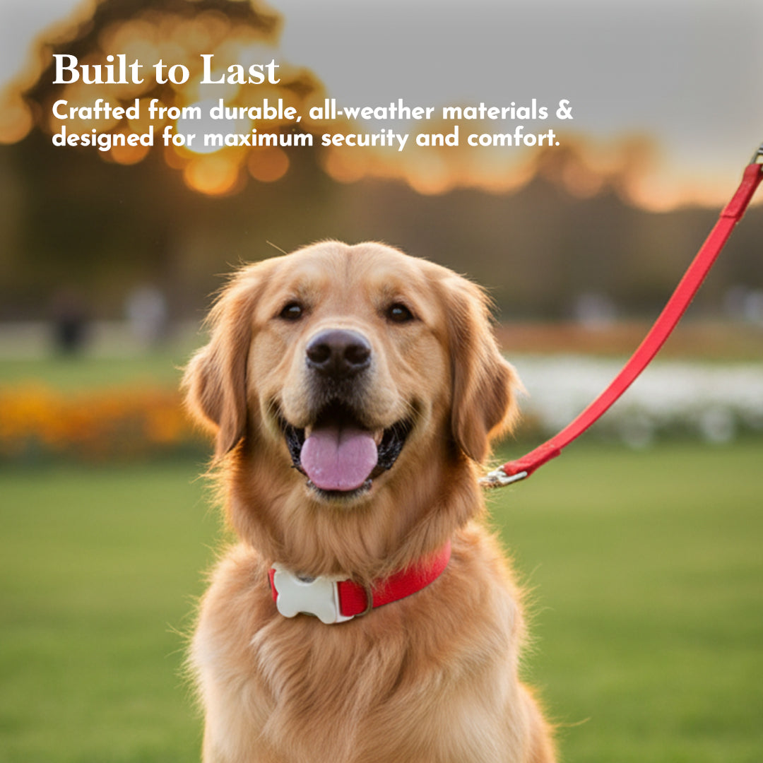 PETS EMPIRE Classic Dog Collar & Leash Set with Bow-Red
