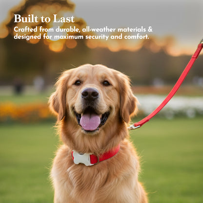 PETS EMPIRE Classic Dog Collar & Leash Set with Bow-Red