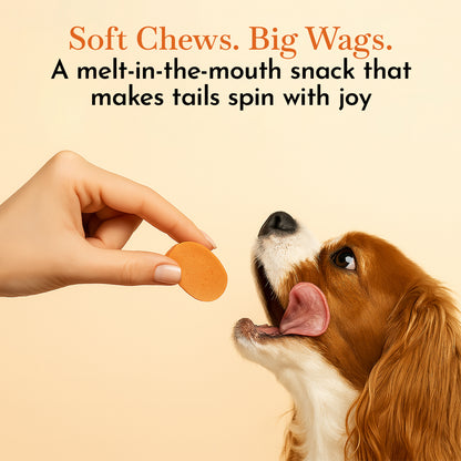 O'Dog Chicken Circular Chips - 100 gms