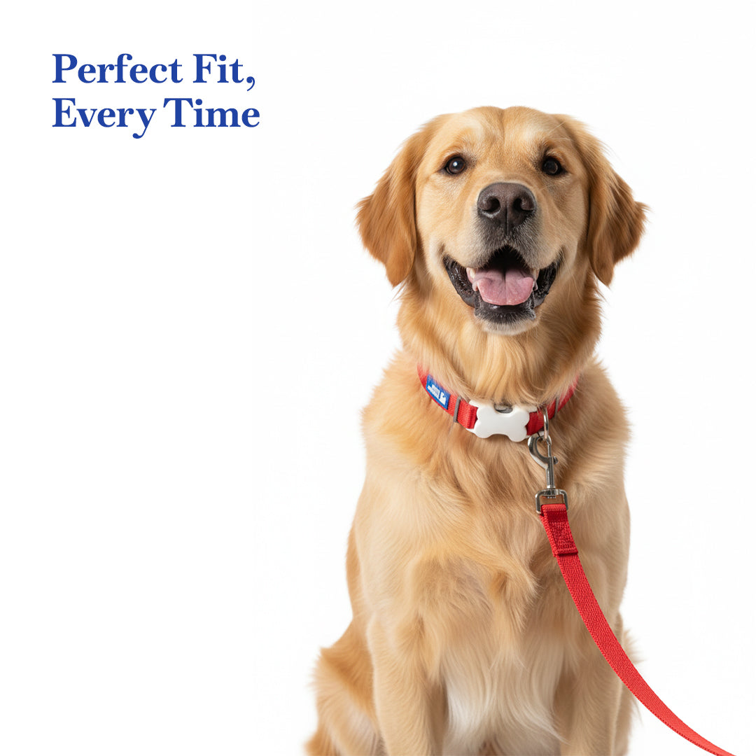 PETS EMPIRE Classic Dog Collar & Leash Set with Bow-Red