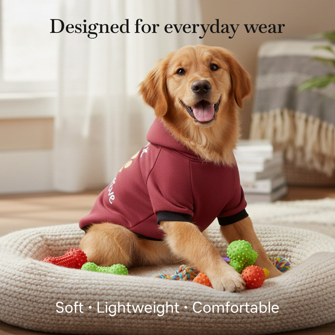 Pets Empire Think Pawsitive Hoodie For Dogs - Mahroon