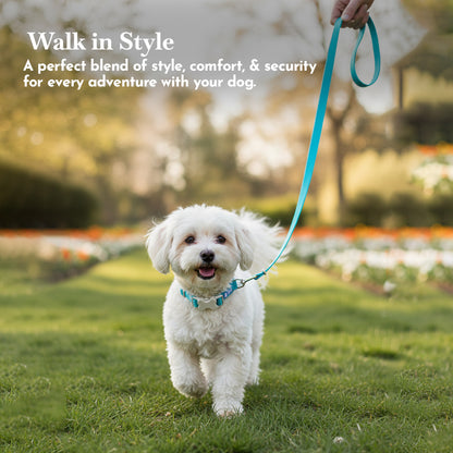 PETS EMPIRE Classic Dog Collar & Leash Set with Bow-Blue