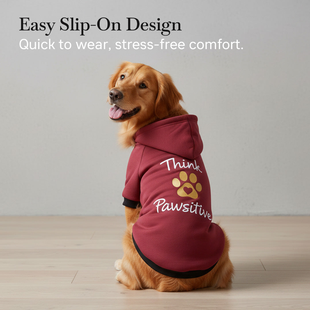 Pets Empire Think Pawsitive Hoodie For Dogs - Mahroon
