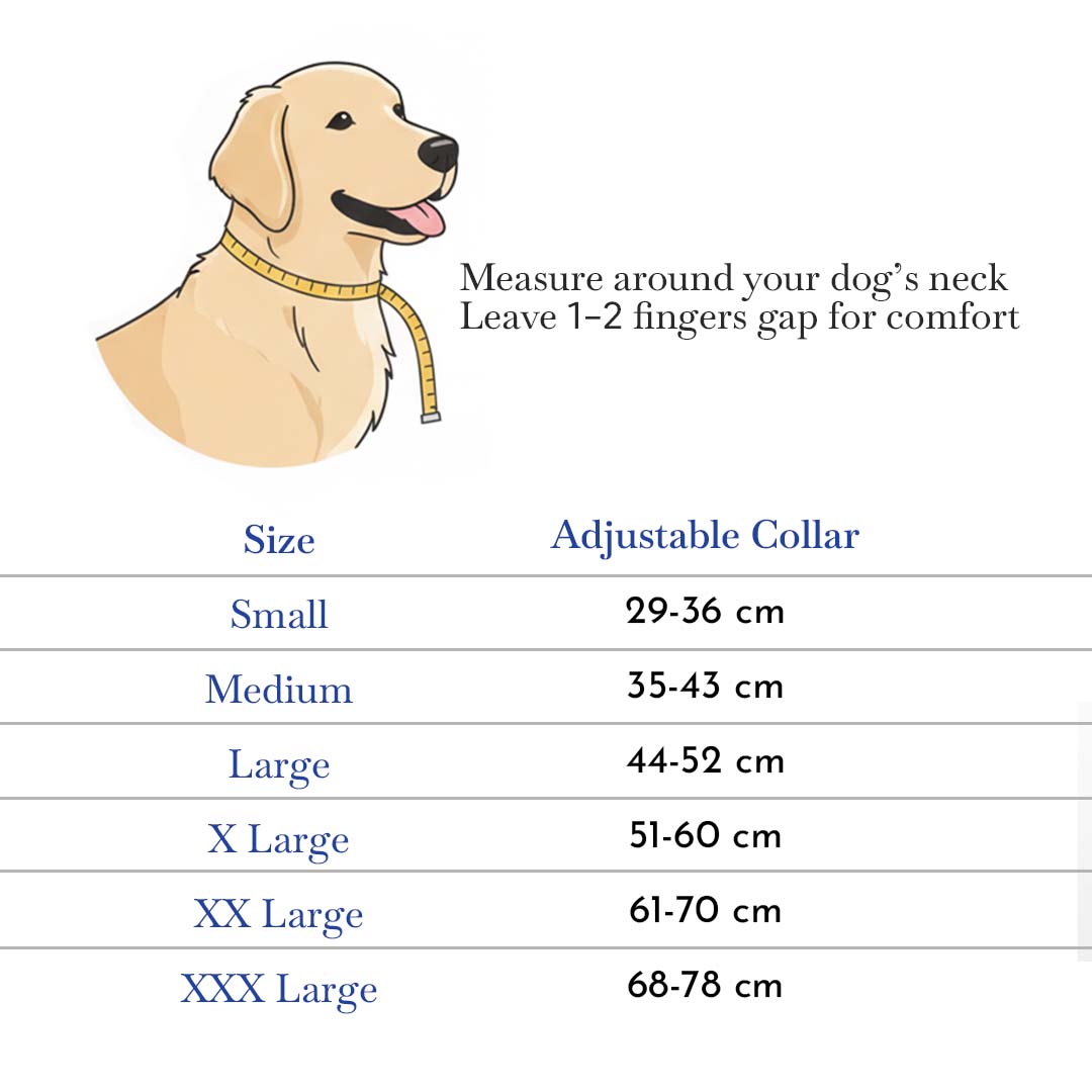 Pets Empire Printed Dog Collar