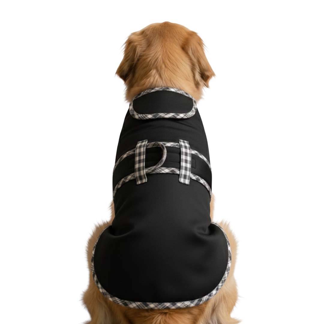Pets Empire Classic Winter Coat For Dogs - Black