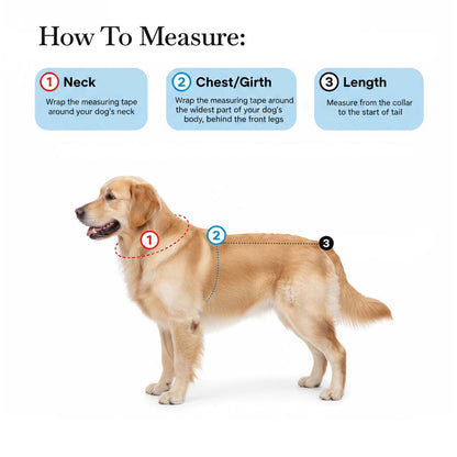 Pets Empire Family Favorite Hoodie For Dogs -  Mahroon