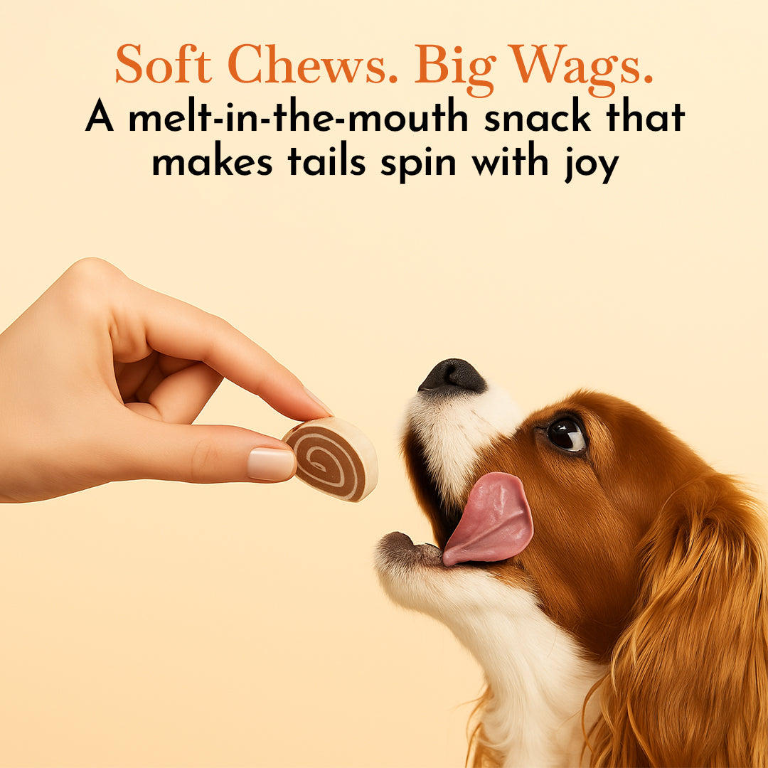 O'Dog Chicken Big Sushi Dog Treats -100g