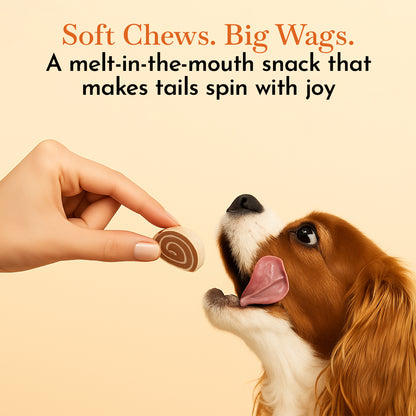 O'Dog Chicken Big Sushi Dog Treats -100g