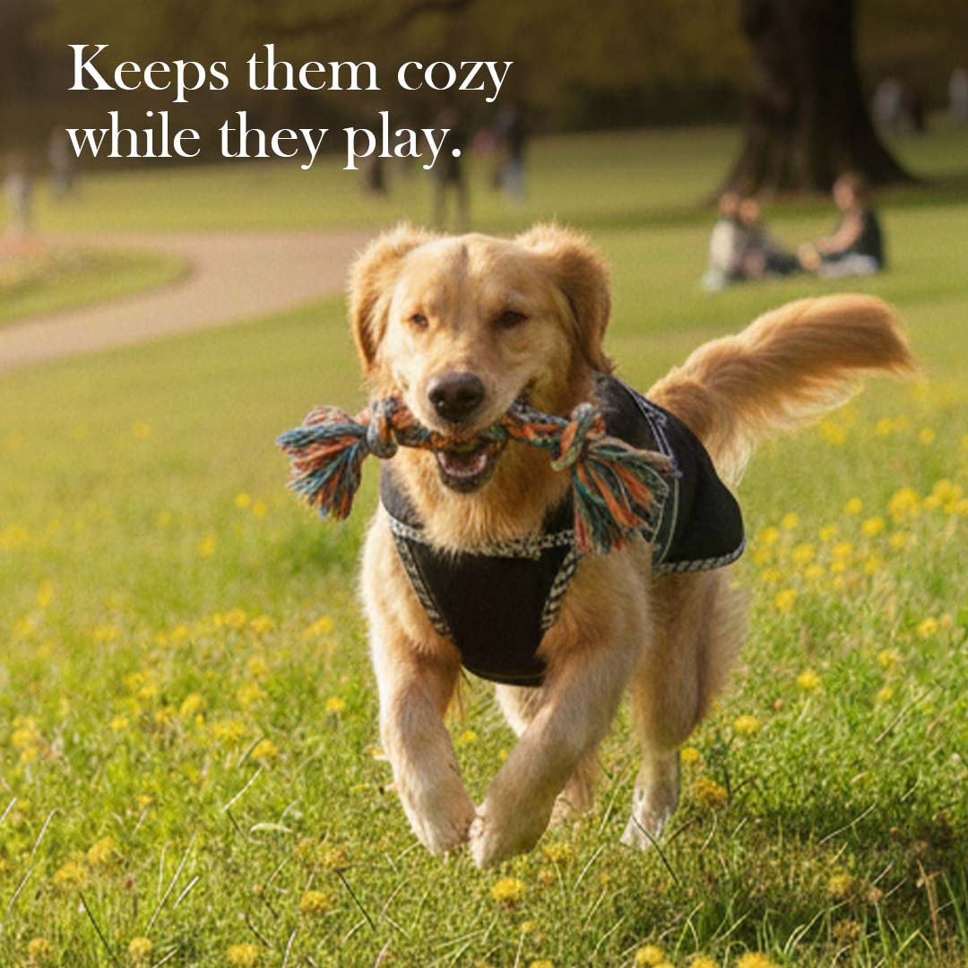 Pets Empire Classic Winter Coat For Dogs - Black