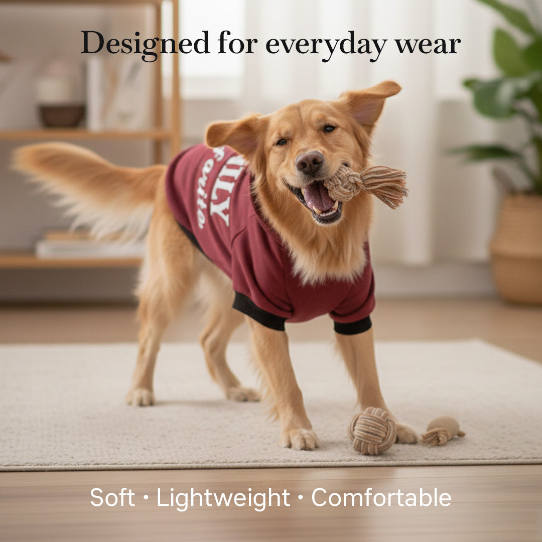 Pets Empire Family Favorite Hoodie For Dogs -  Mahroon