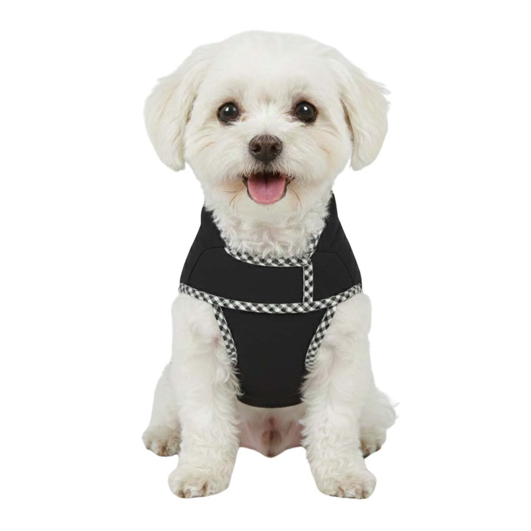 Pets Empire Classic Winter Coat For Dogs - Black