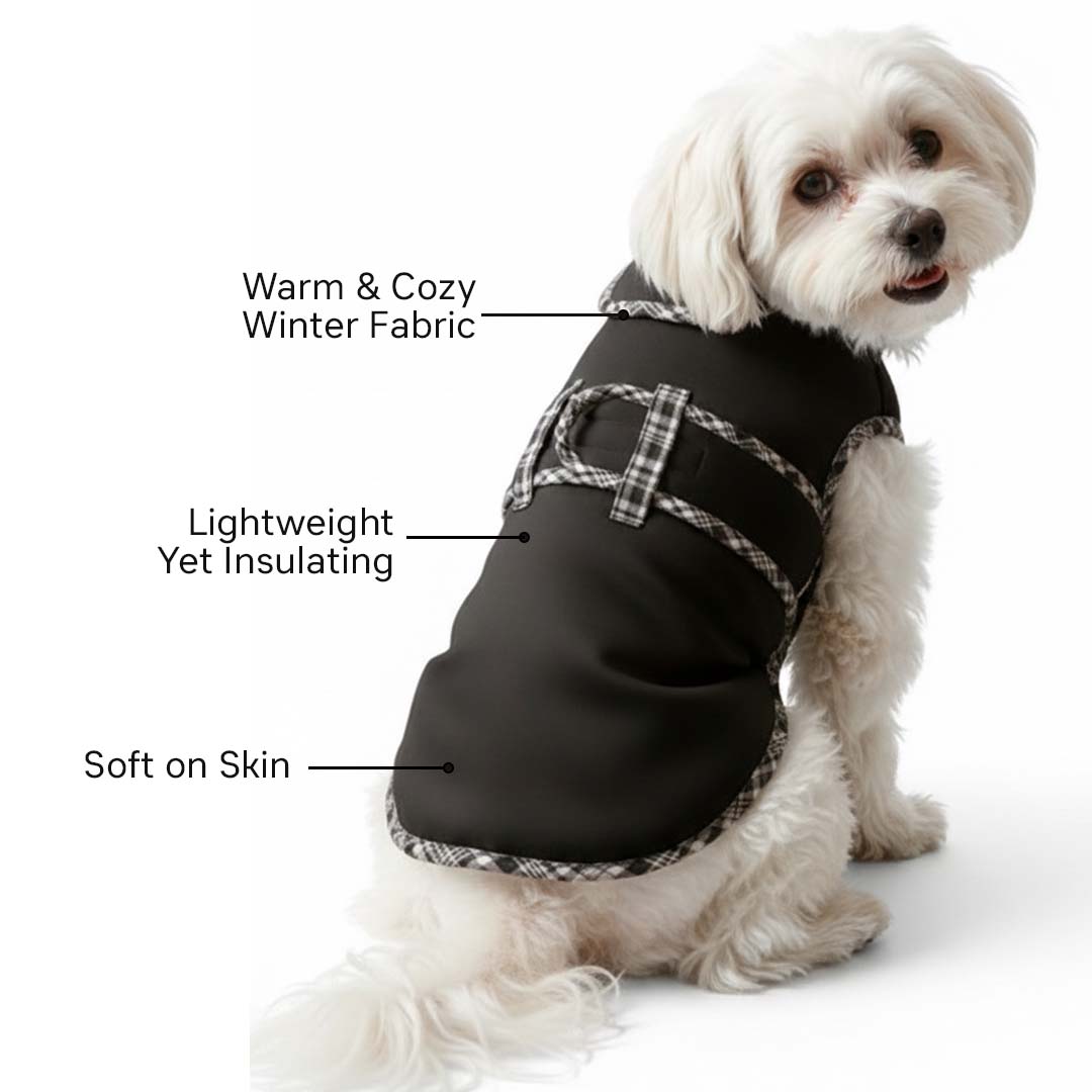 Pets Empire Classic Winter Coat For Dogs - Black