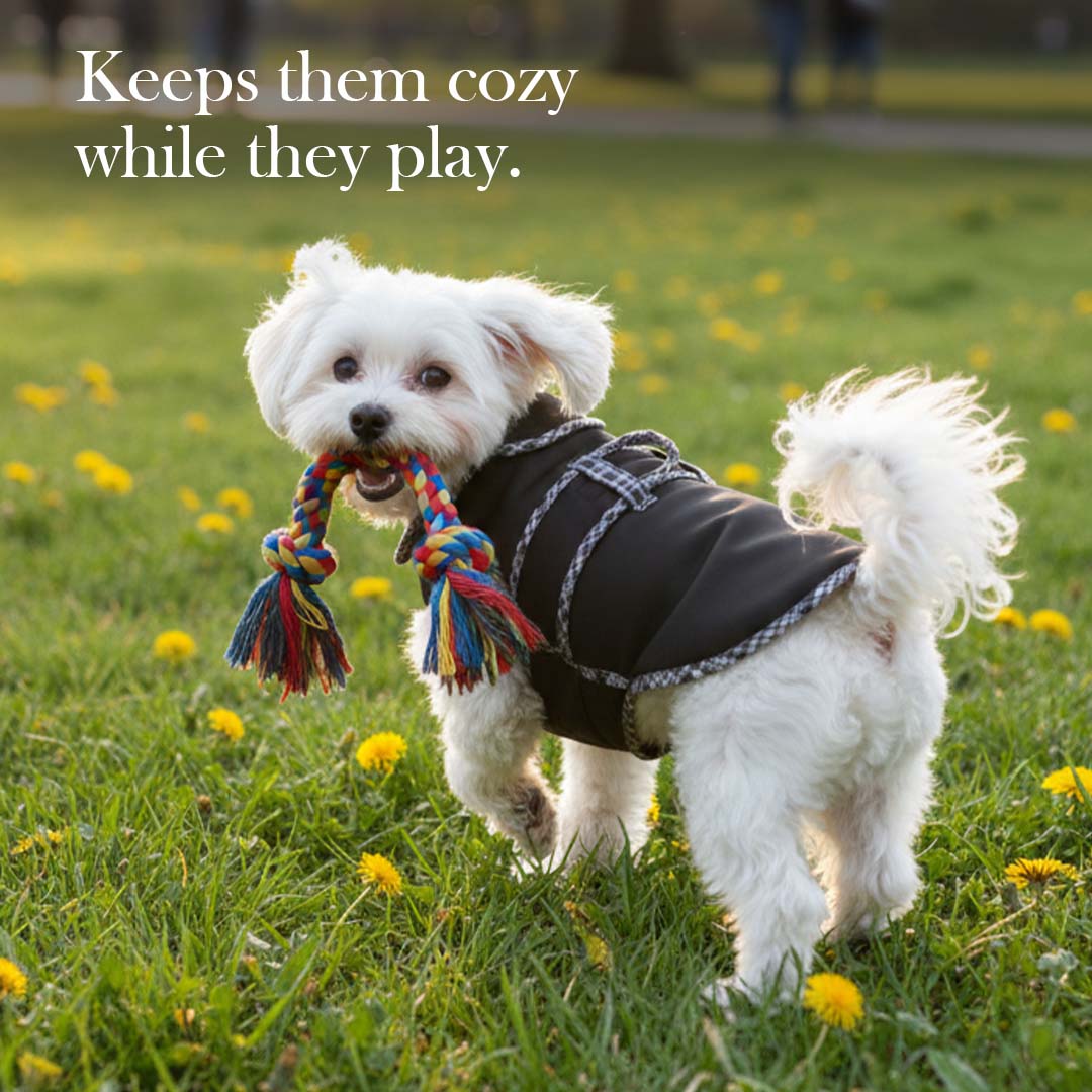 Pets Empire Classic Winter Coat For Dogs - Black