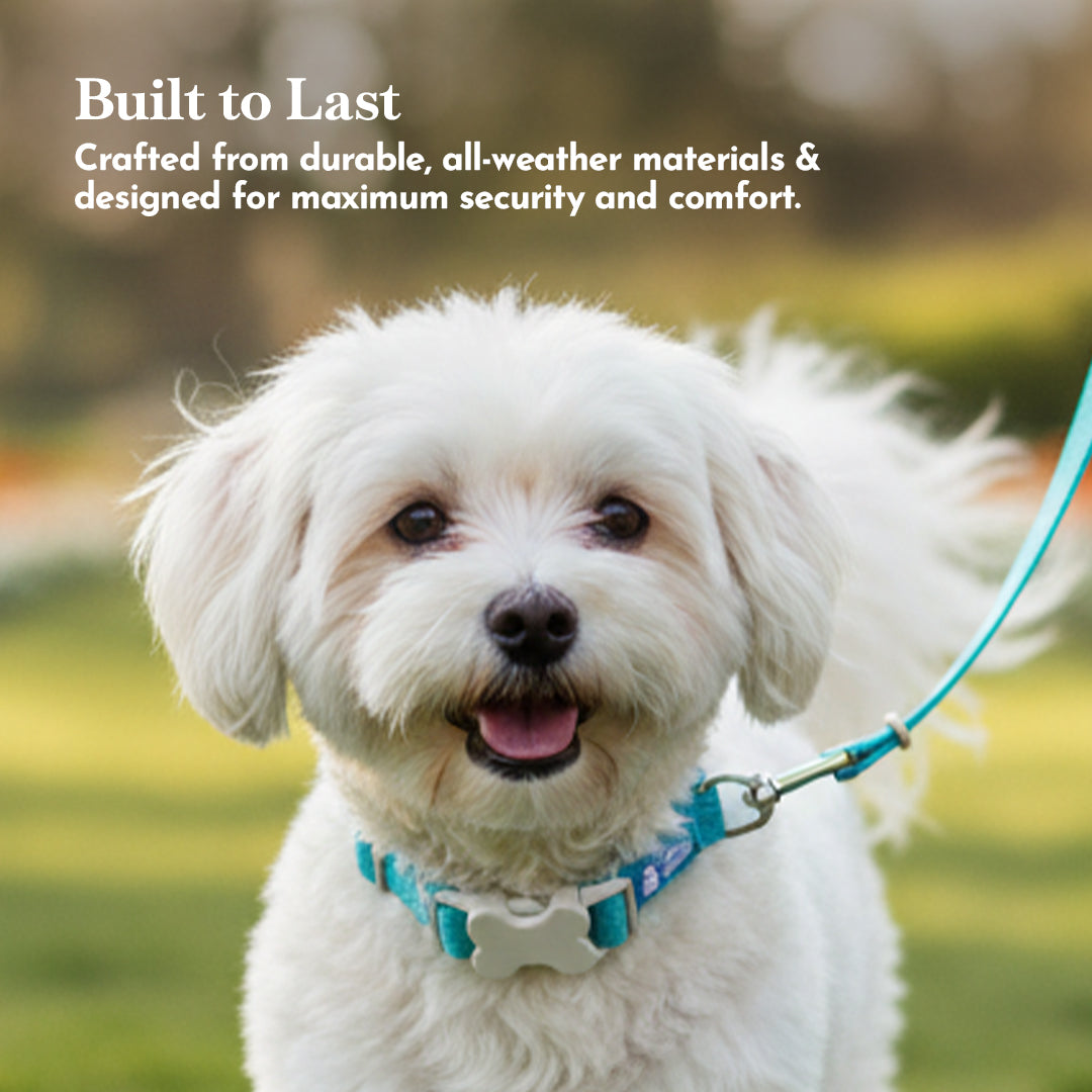 PETS EMPIRE Classic Dog Collar & Leash Set with Bow-Blue