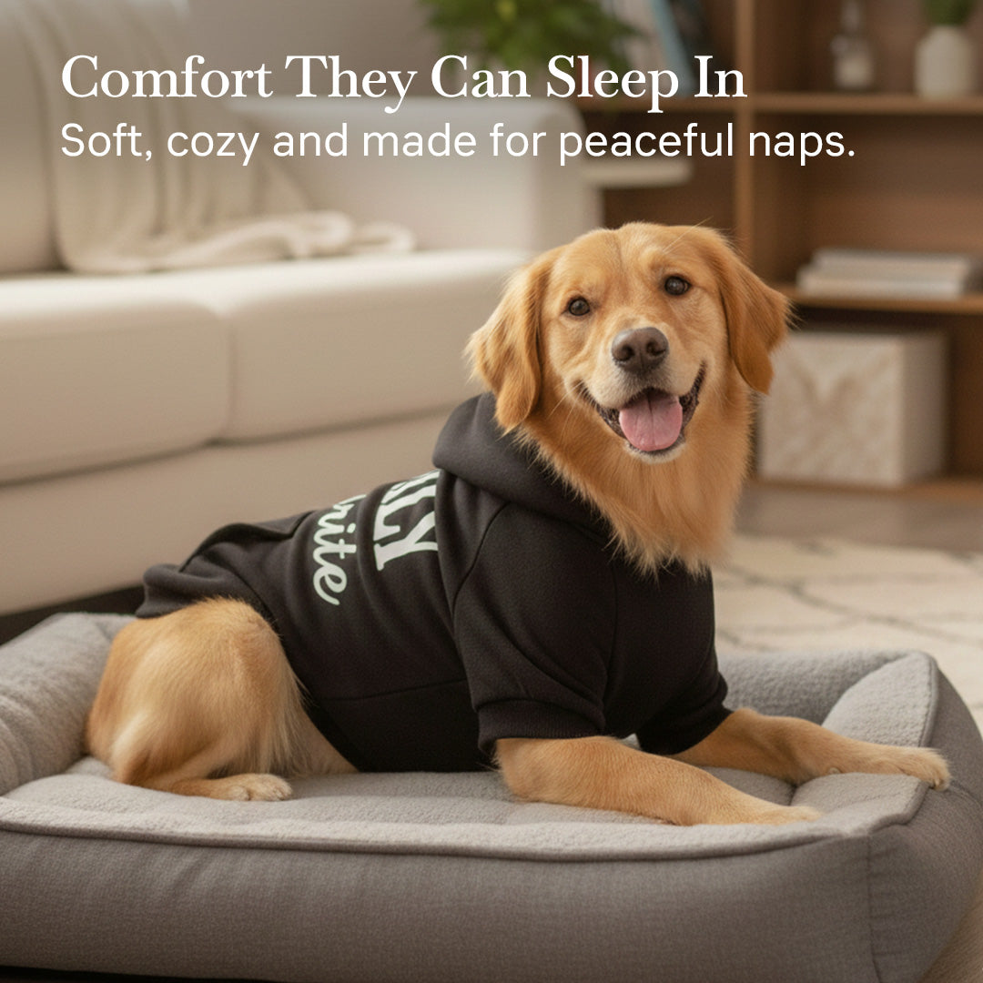 Pets Empire Family Favorite Hoodie For Dogs -  Black