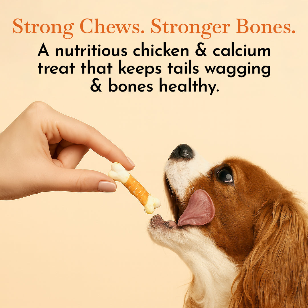 O'Dog Chicken and White Calcium Bone Treats for Dog (100 gm)
