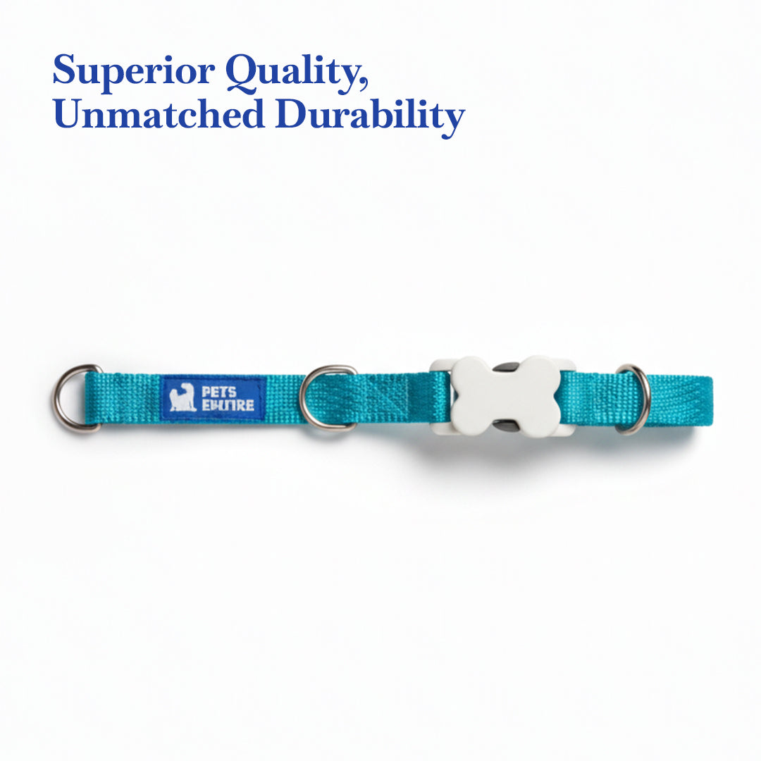 PETS EMPIRE Classic Dog Collar & Leash Set with Bow-Blue