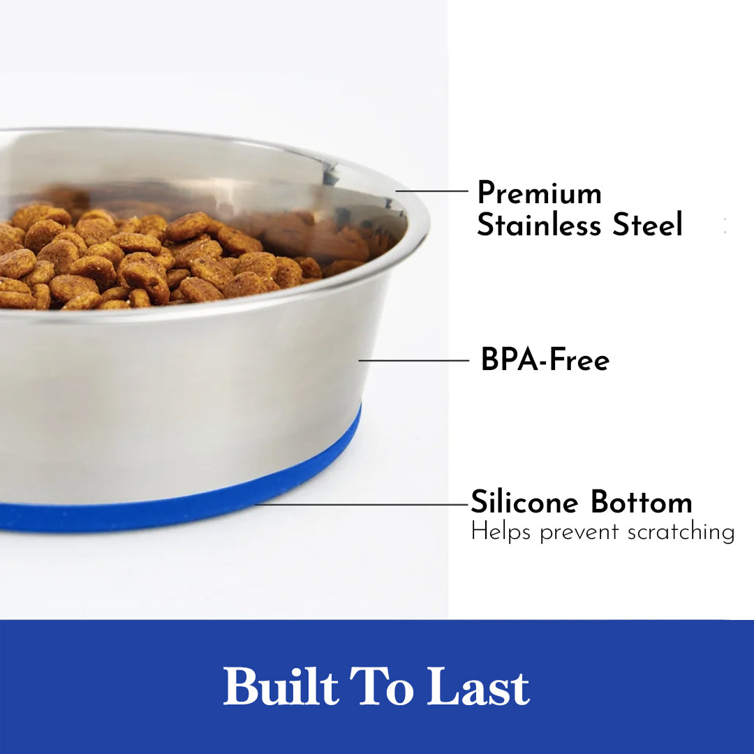 Pets Empire Classic Stainless Steel Dog Bowl (Pack of 2)