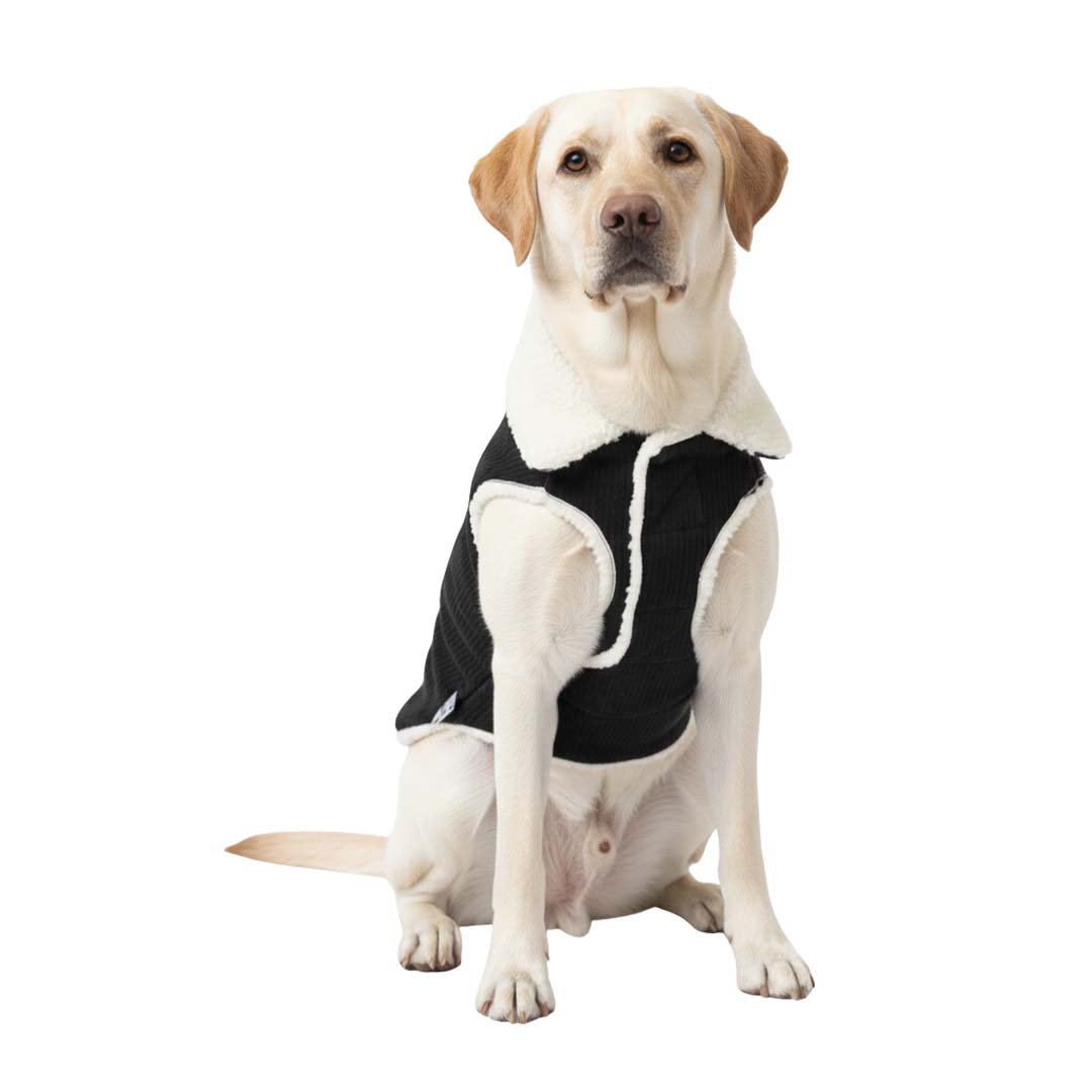 Pets Empire Winter Fleece Jacket for Dogs- Black