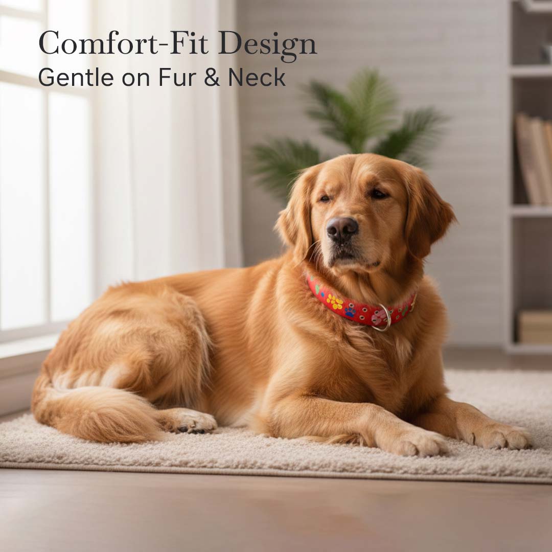 Pets Empire Printed Dog Collar