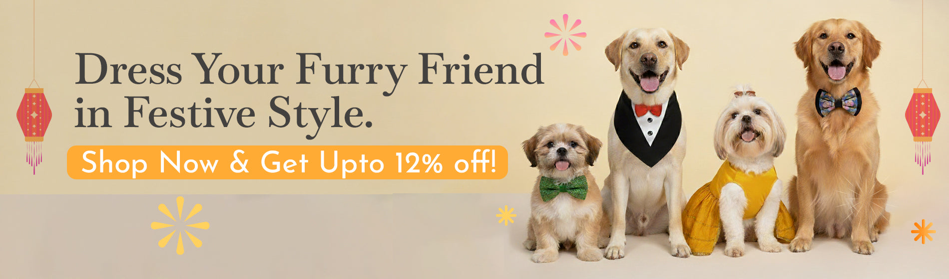 Promo Banner