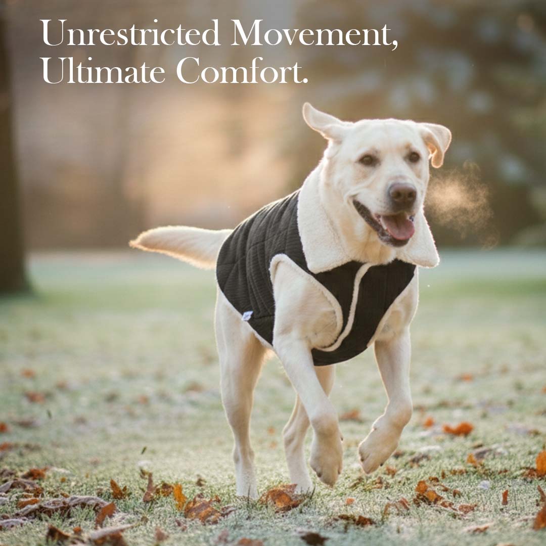 Pets Empire Winter Fleece Jacket for Dogs- Black