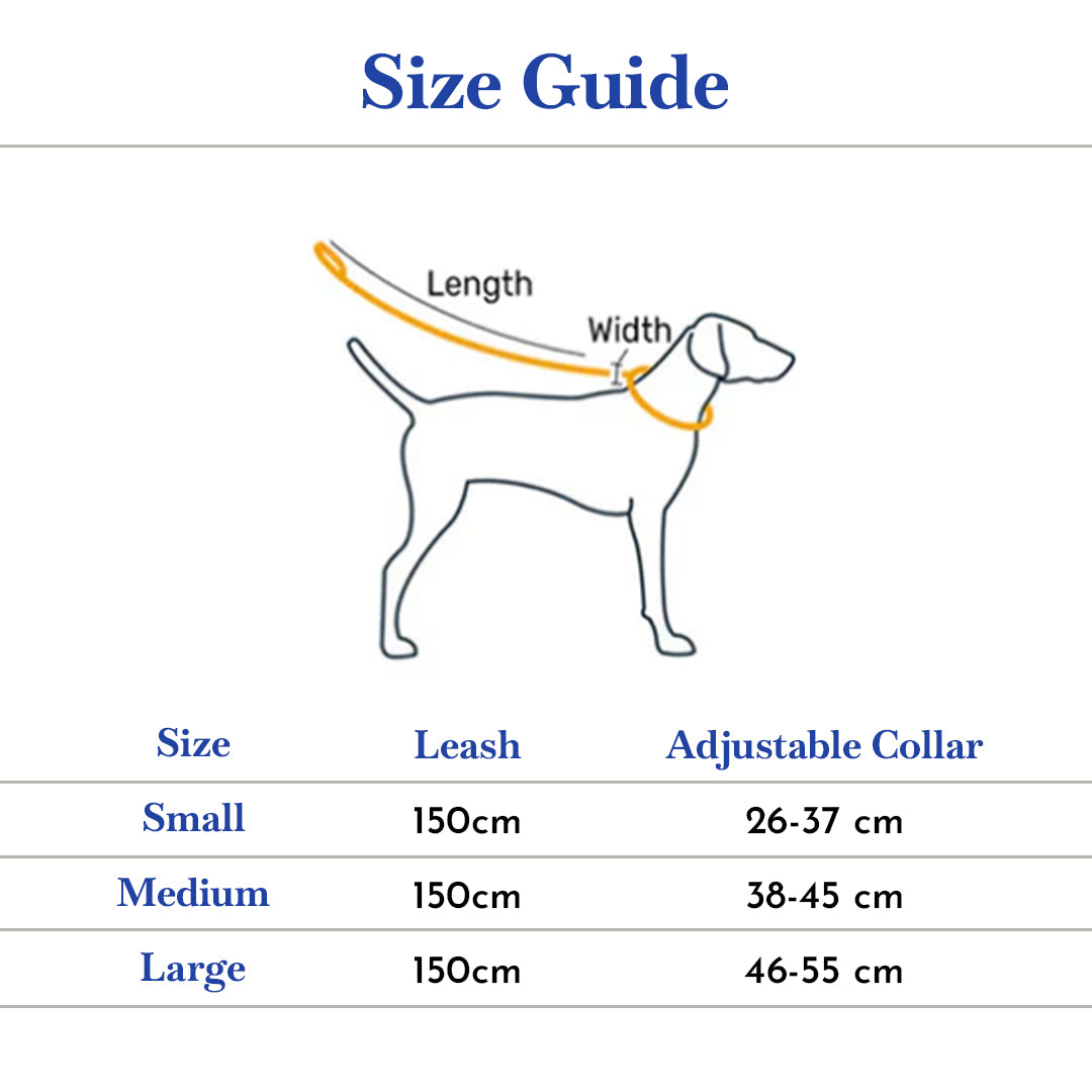 PETS EMPIRE Classic Dog Collar & Leash Set with Bow-Blue