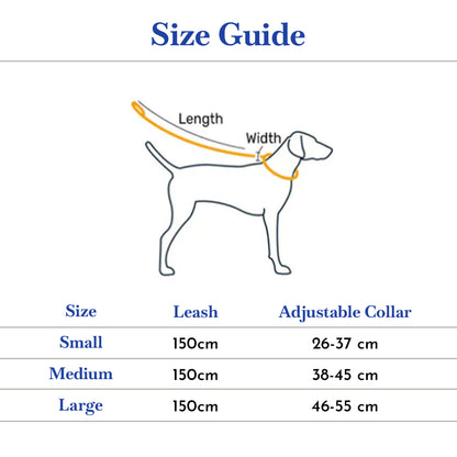 PETS EMPIRE Classic Dog Collar & Leash Set with Bow-Blue