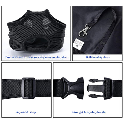 Pets Empire Travel Carrier for Cats & Small Dogs (Black)