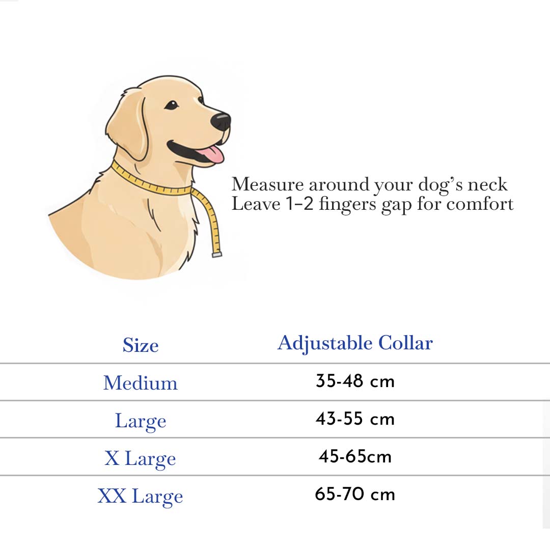 Pets Empire Dog Collar Durable Reflective Easy Clean Comfy Adjustable- 1 piece