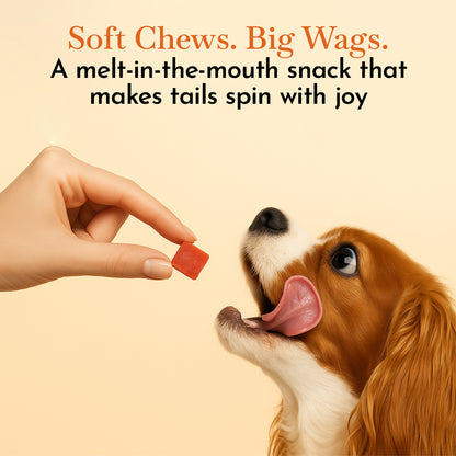 O'Dog Chicken Soft Cubes, Healthy Dog Treats (420g)