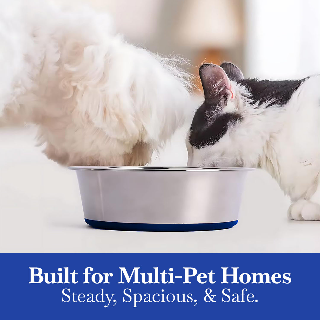 Pets Empire Classic Stainless Steel Dog Bowl (Pack of 2)