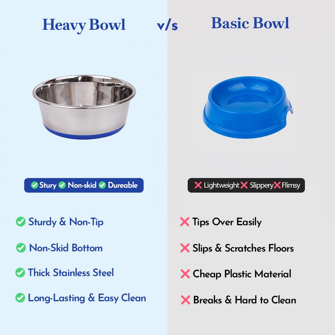 Pets Empire Classic Stainless Steel Dog Bowl (Pack of 2)