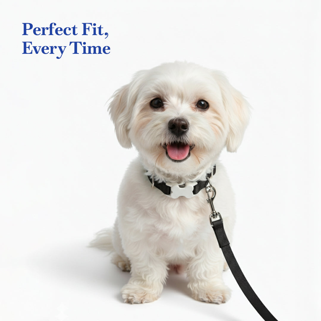 PETS EMPIRE Classic Dog Collar & Leash Set with Bow-Black