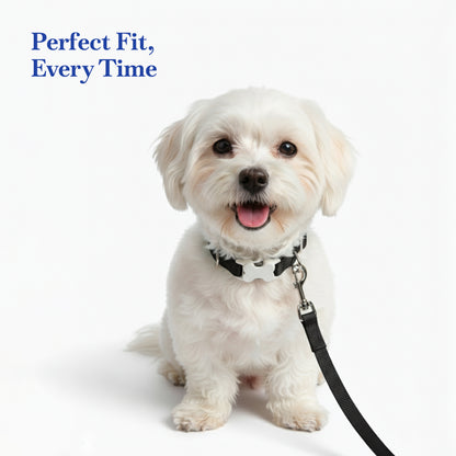 PETS EMPIRE Classic Dog Collar & Leash Set with Bow-Black