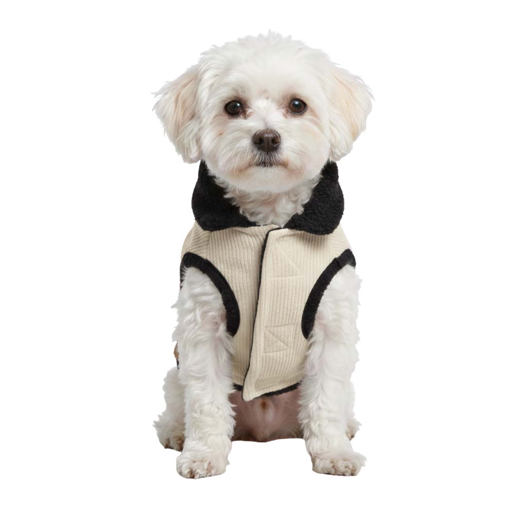 Pets Empire Winter Fleece Jacket for Dogs- Cream