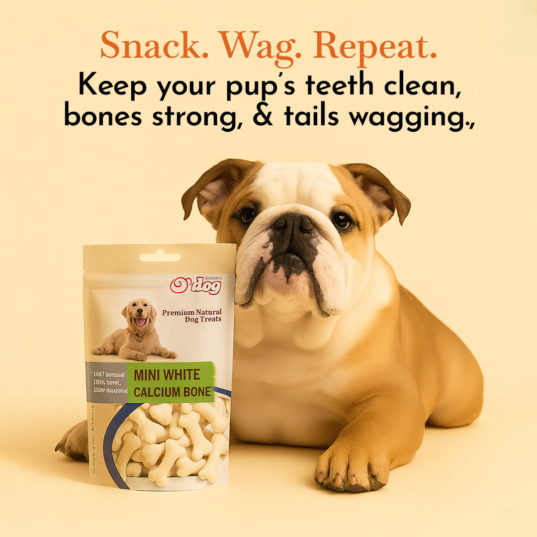 O'Dog Premium Natual Dog Treat Mini White Calcium Bone(100g)