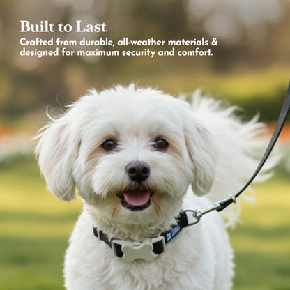 PETS EMPIRE Classic Dog Collar & Leash Set with Bow-Black