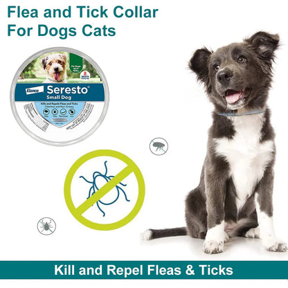 Bayer Seresto Tick Flea Collar For Small Breed Dogs upto 8 kg