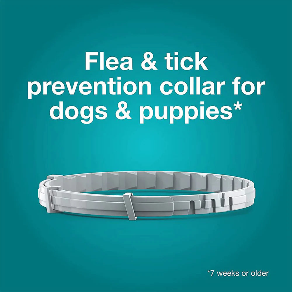 Bayer Seresto Tick Flea Collar For Small Breed Dogs upto 8 kg