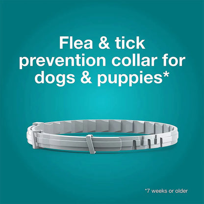 Bayer Seresto Tick Flea Collar For Small Breed Dogs upto 8 kg