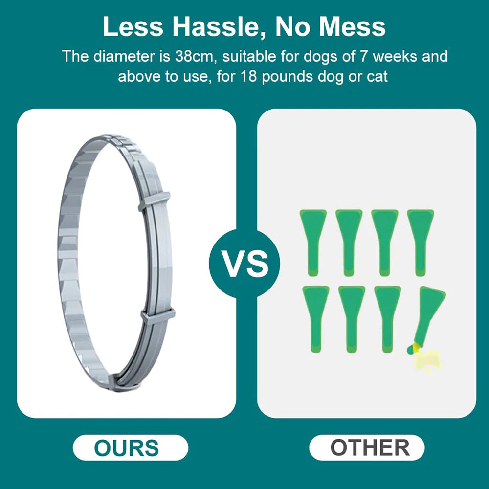 Bayer Seresto Tick Flea Collar For Small Breed Dogs upto 8 kg