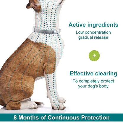 Bayer Seresto Tick Flea Collar For Small Breed Dogs upto 8 kg