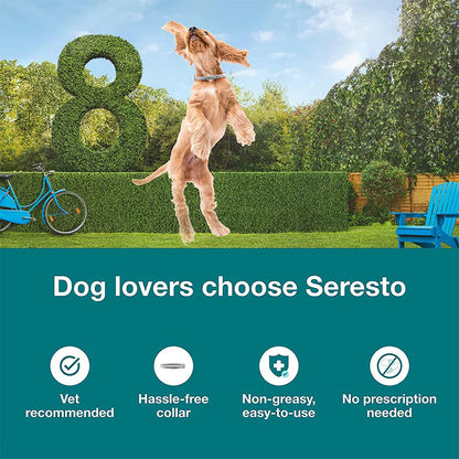 Bayer Seresto Tick Flea Collar For Small Breed Dogs upto 8 kg