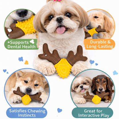 Pets Empire Deer Antler Chew Toy for Dogs